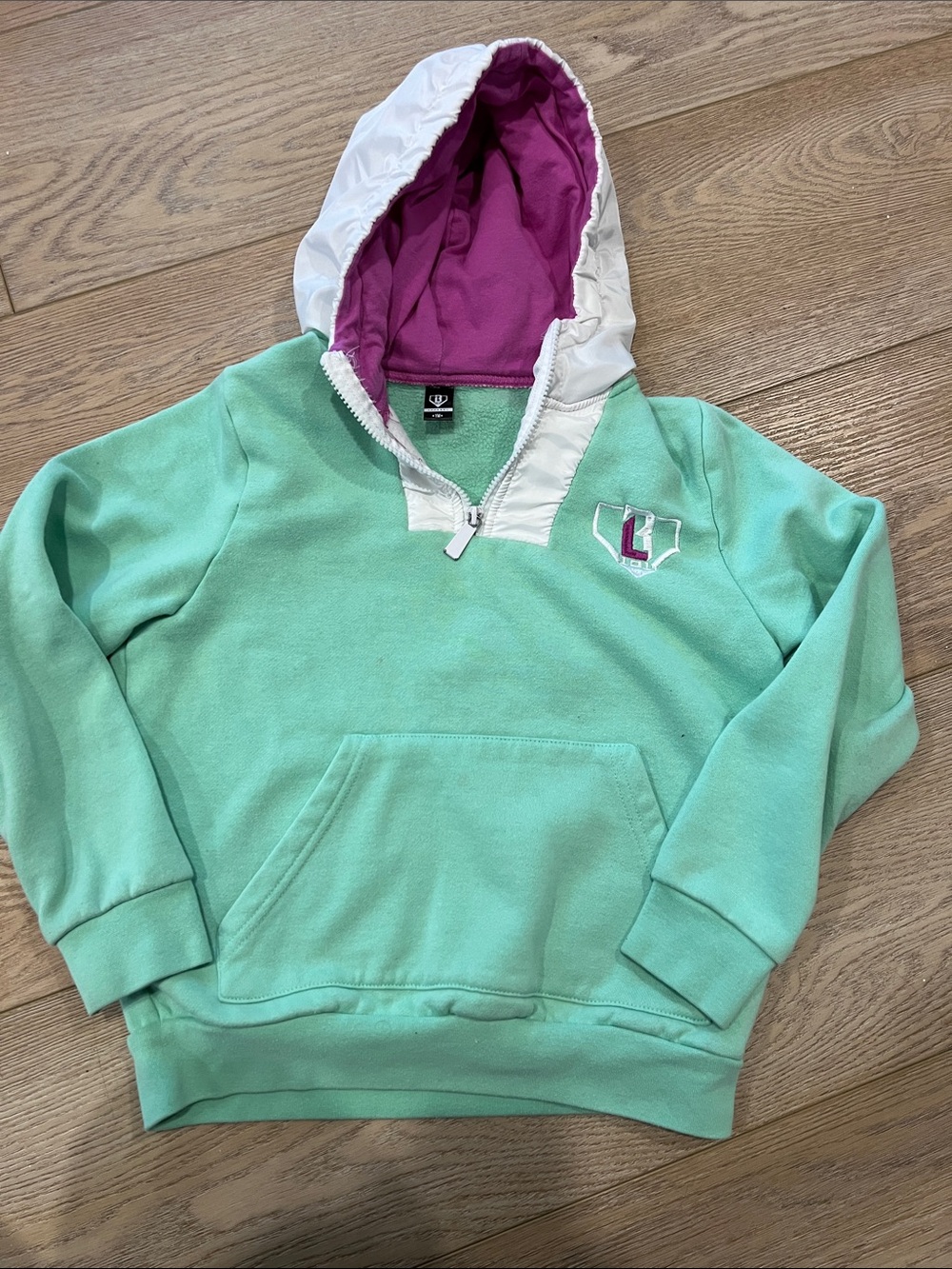 Baseball 101 Kids Mint Green Pullover Hoodie with purple Lining